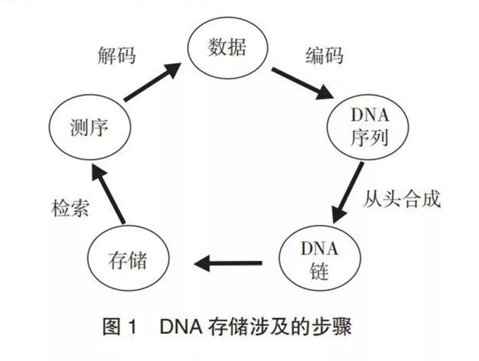 DNA存储的中美对比研究(图2)