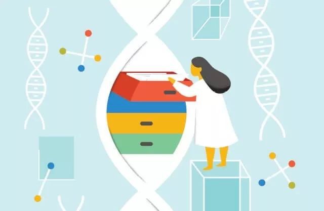 DNA存储的中美对比研究(图6)