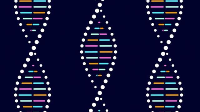 DNA存储器突破了理论极限一部手机装下全世界的数据(图8)