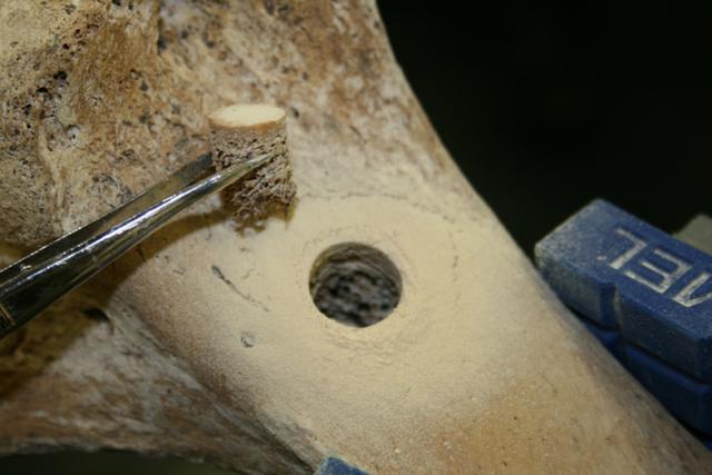 DNA存储器突破了理论极限一部手机装下全世界的数据(图7)