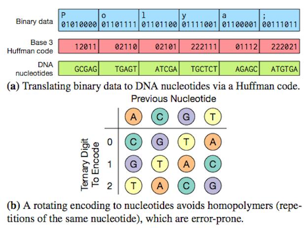微软黑科技：DNA存储技术催生方糖大小的数据中心(图3)