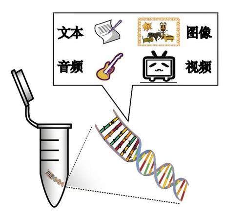 大开眼界！重庆诞生“DNA活字打印机”(图2)