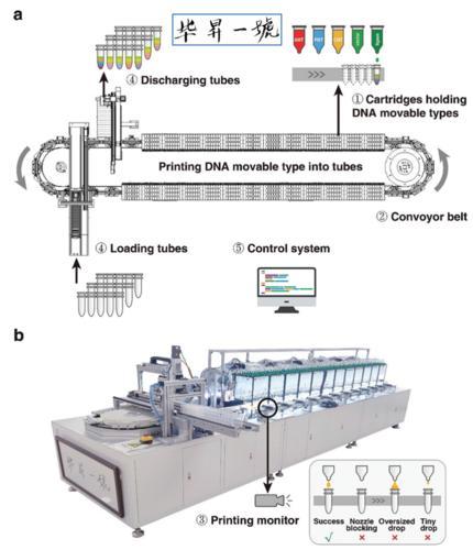 大开眼界！重庆诞生“DNA活字打印机”(图4)