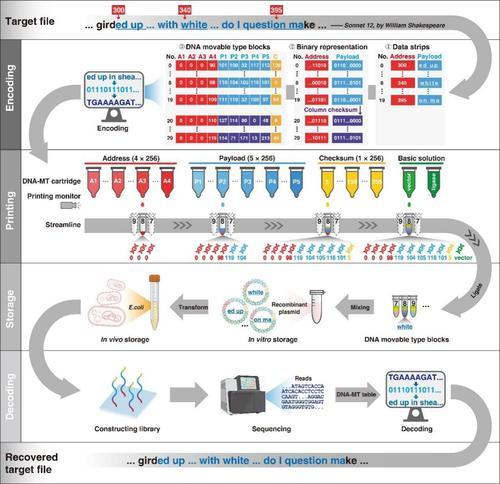 大开眼界！重庆诞生“DNA活字打印机”(图5)