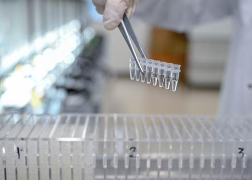 大开眼界！重庆诞生“DNA活字打印机”(图6)