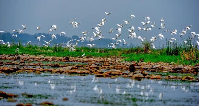 河南国家级“朋友圈”又扩容了！(图2)