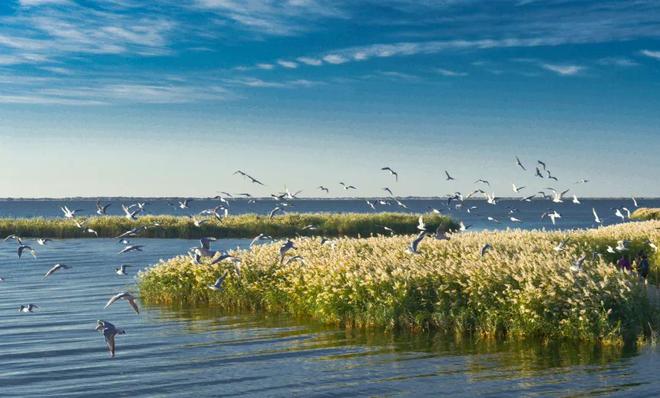 河南国家级“朋友圈”又扩容了！(图3)