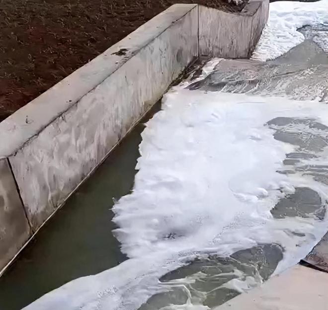 秦皇岛河水突漂白沫死鱼！恶臭弥漫如臭鸡蛋村民：不敢开窗(图1)