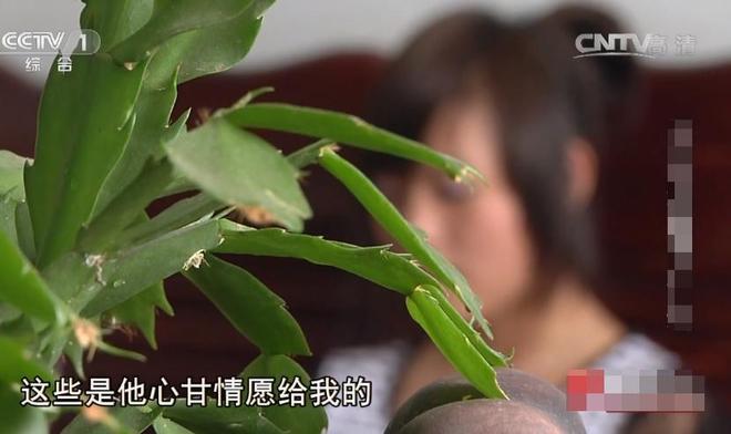 出租司机离奇失踪新车被遗弃在闹市区嫌疑人从21楼一跃而下(图19)