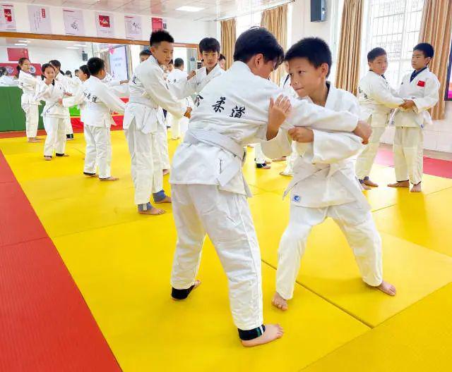 以柔克刚肇庆还有这样的“DNA”！(图6)