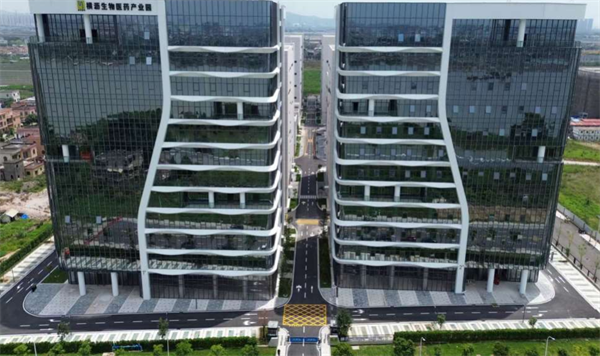 细胞基因产业化浪潮起南沙五度一体逐浪启航(图4)