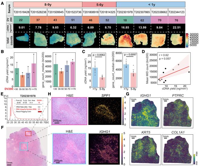 《细胞》重磅：华大新技术竟能“直播”细胞与微生物之间的悄悄话！(图2)