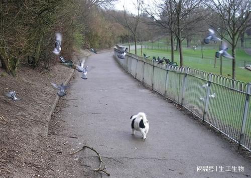 现代生物科研领域中化学与生物试剂及配套耗材仪器研发生产(图3)