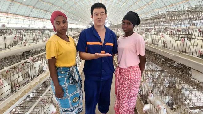 种业之都北京振兴步履铿锵(图3)