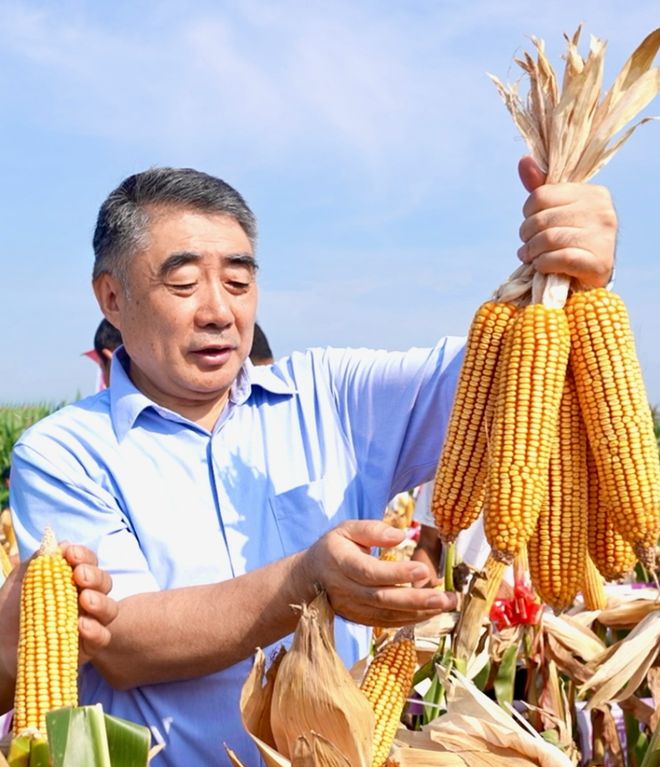 种业之都北京振兴步履铿锵(图4)