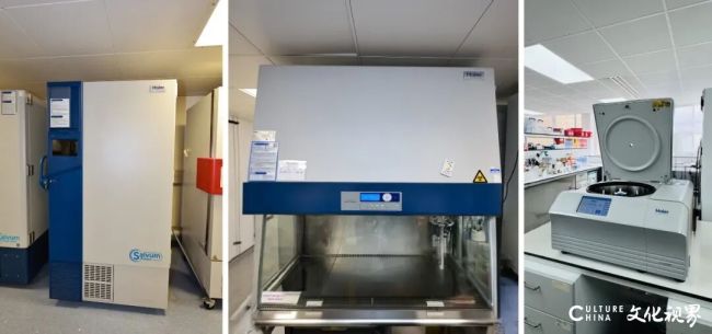 海尔生物医疗的低温存储和智慧实验室方案助力英国顶级实验室破解科研痛点(图9)