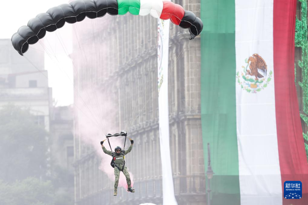 墨西哥举行独立日阅兵(图5)