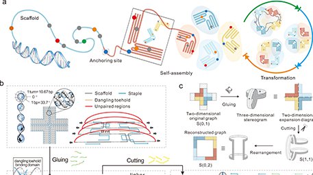 中国航母重大突破；最强台风将袭击广深；iPhone17标准款需求超预期……(图1)