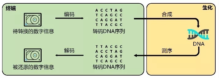 搭乘“科技飞船”探索数字文明新未来(图1)