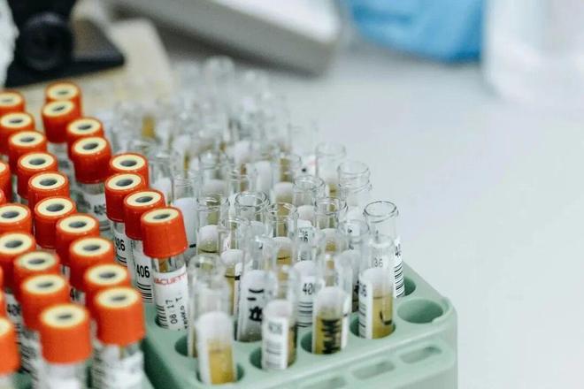 这里全城采集男性DNA“Y库”究竟是啥(图13)