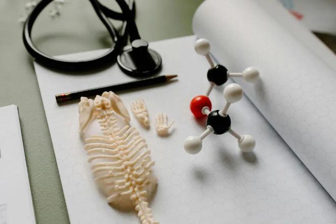 这里全城采集男性DNA“Y库”究竟是啥(图7)