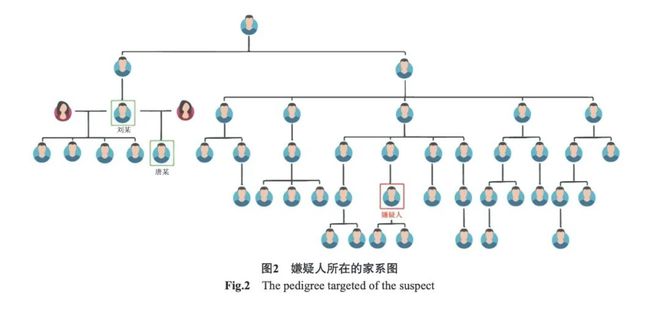 这里全城采集男性DNA“Y库”究竟是啥(图3)