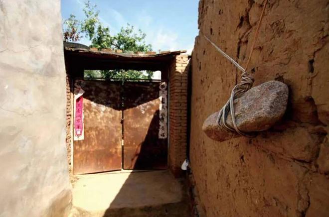 这里全城采集男性DNA“Y库”究竟是啥(图11)