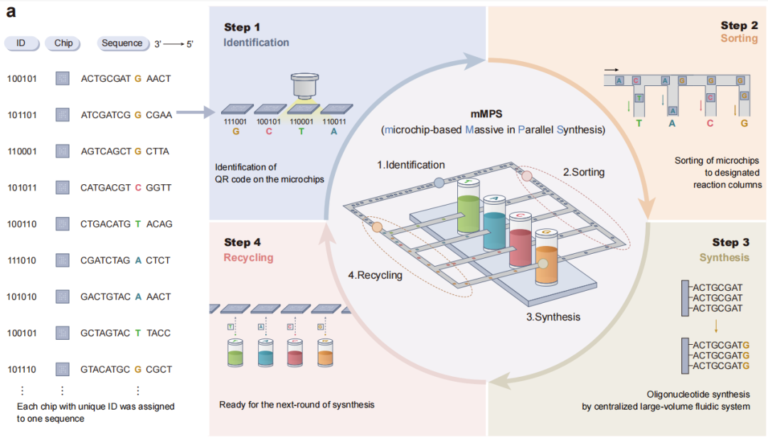 华大发布DNA合成新技术将催生合成生物产业巨大潜能(图2)