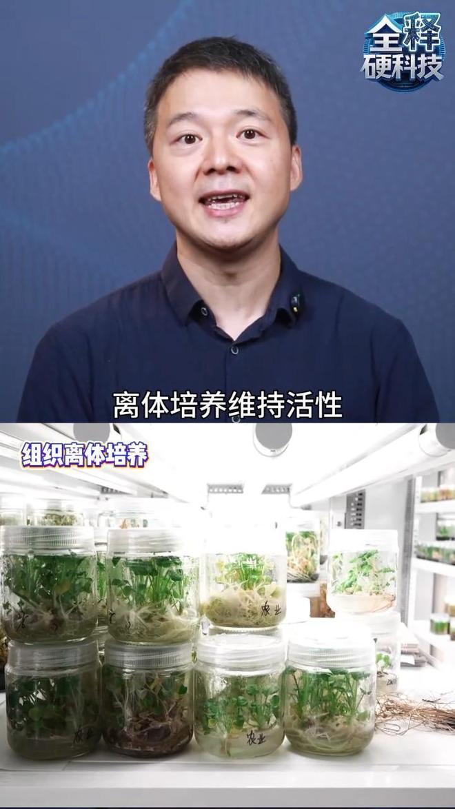 中国建成亚洲最大野生植物种质资源库保存10万份野生植物种子(图4)