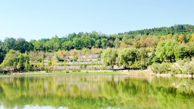 十五年摸清林草种质资源“家底”山东为何“死磕”小种子？(图3)