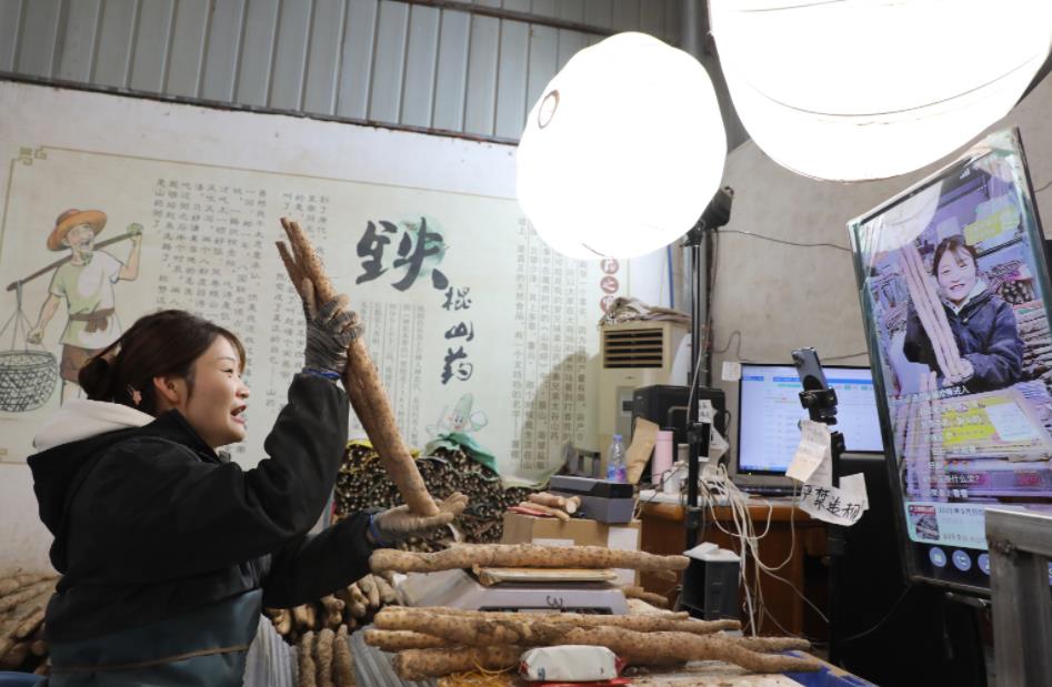 “一根山药”如何撬动30亿产业？——解码温县铁棍山药的“出圈”密码(图3)