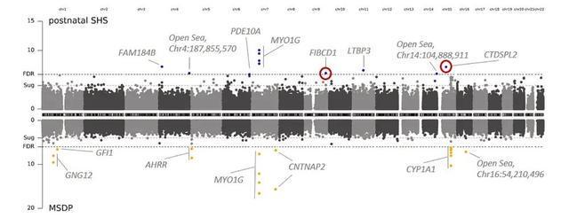 别在家里抽烟了！二手烟正在“修改”你家孩子的DNA(图2)