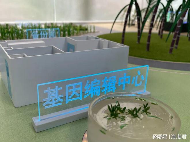 CBD公约生物安全能力建设在线论坛聚焦活体转基因生物风险评估(图2)