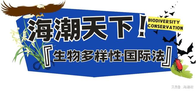 CBD公约生物安全能力建设在线论坛聚焦活体转基因生物风险评估(图4)