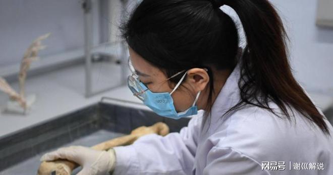 日本大学琉球人遗骨古DNA及文献发现：琉球人祖先是山东人？(图2)