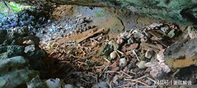 日本大学琉球人遗骨古DNA及文献发现：琉球人祖先是山东人？(图4)