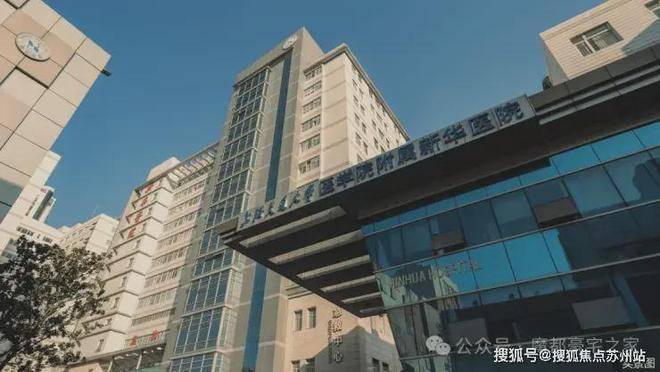 桐安里(售楼处)官网-桐安里售楼中心电话-环境-户型-价格-地址-楼盘详情-配套-电话-交房时间-配套-交房时间(图10)