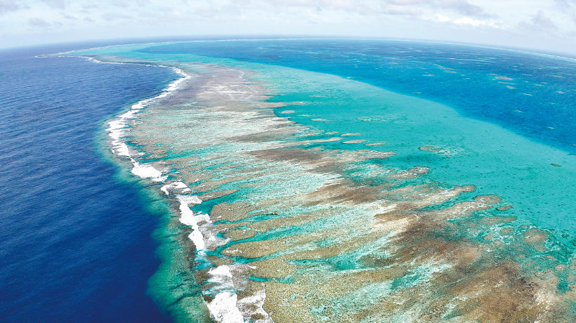 壮美河山有它们守护(图3)