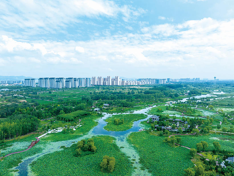 壮美河山有它们守护(图4)