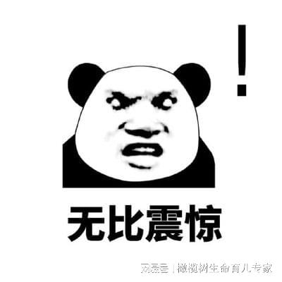 产检新选择：无创DNA和Plus版到底查了啥？(图4)