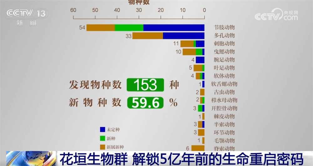 一起“涨”知识！世界级化石“宝藏”花垣生物群解锁5亿年前生命重启密码(图2)