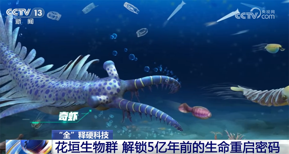 一起“涨”知识！世界级化石“宝藏”花垣生物群解锁5亿年前生命重启密码(图5)