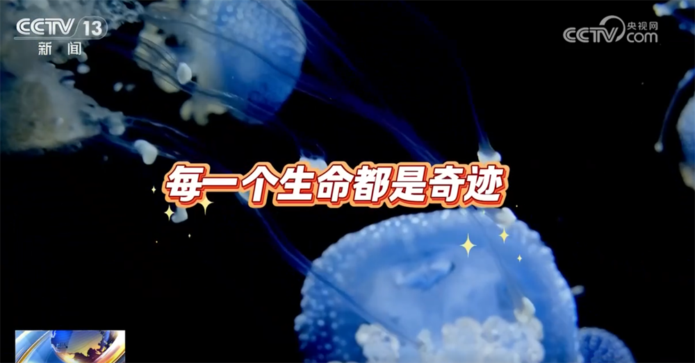 一起“涨”知识！世界级化石“宝藏”花垣生物群解锁5亿年前生命重启密码(图8)