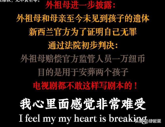 新西兰老太曝OT部门黑幕2孙被打死4名中国儿童遭强制提取DNA(图10)