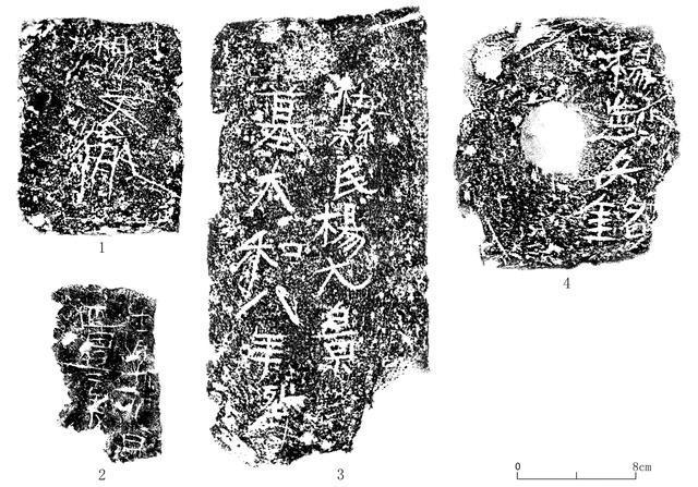 西安前锋村发掘北魏杨氏家族墓地有新发现DNA技术首揭家族血缘与姻亲网络(图3)