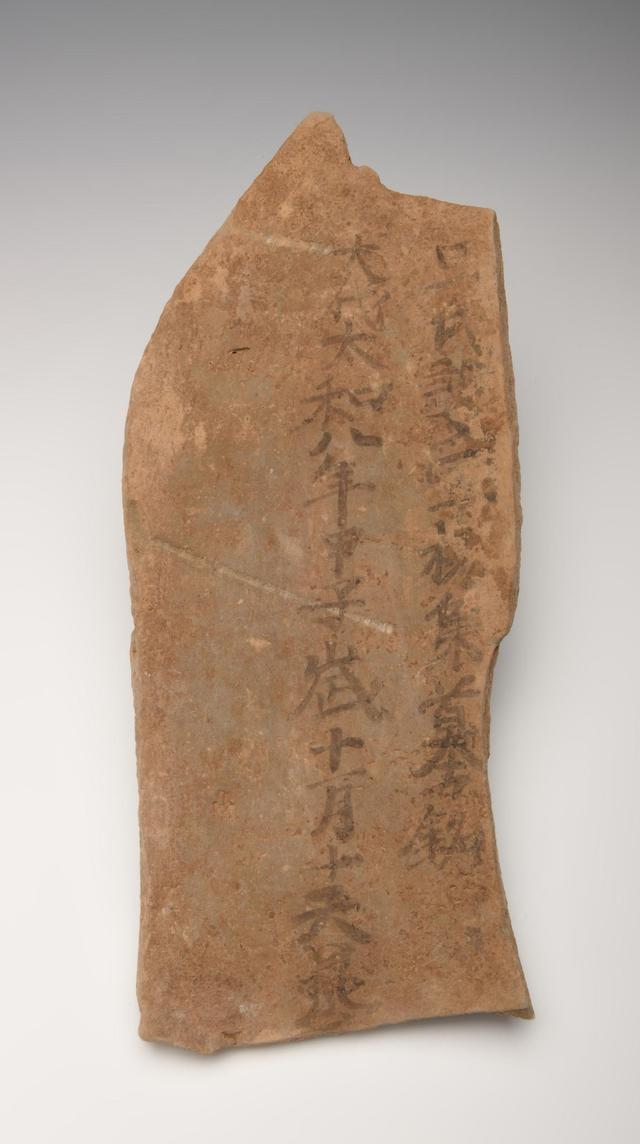 西安前锋村发掘北魏杨氏家族墓地有新发现DNA技术首揭家族血缘与姻亲网络(图7)