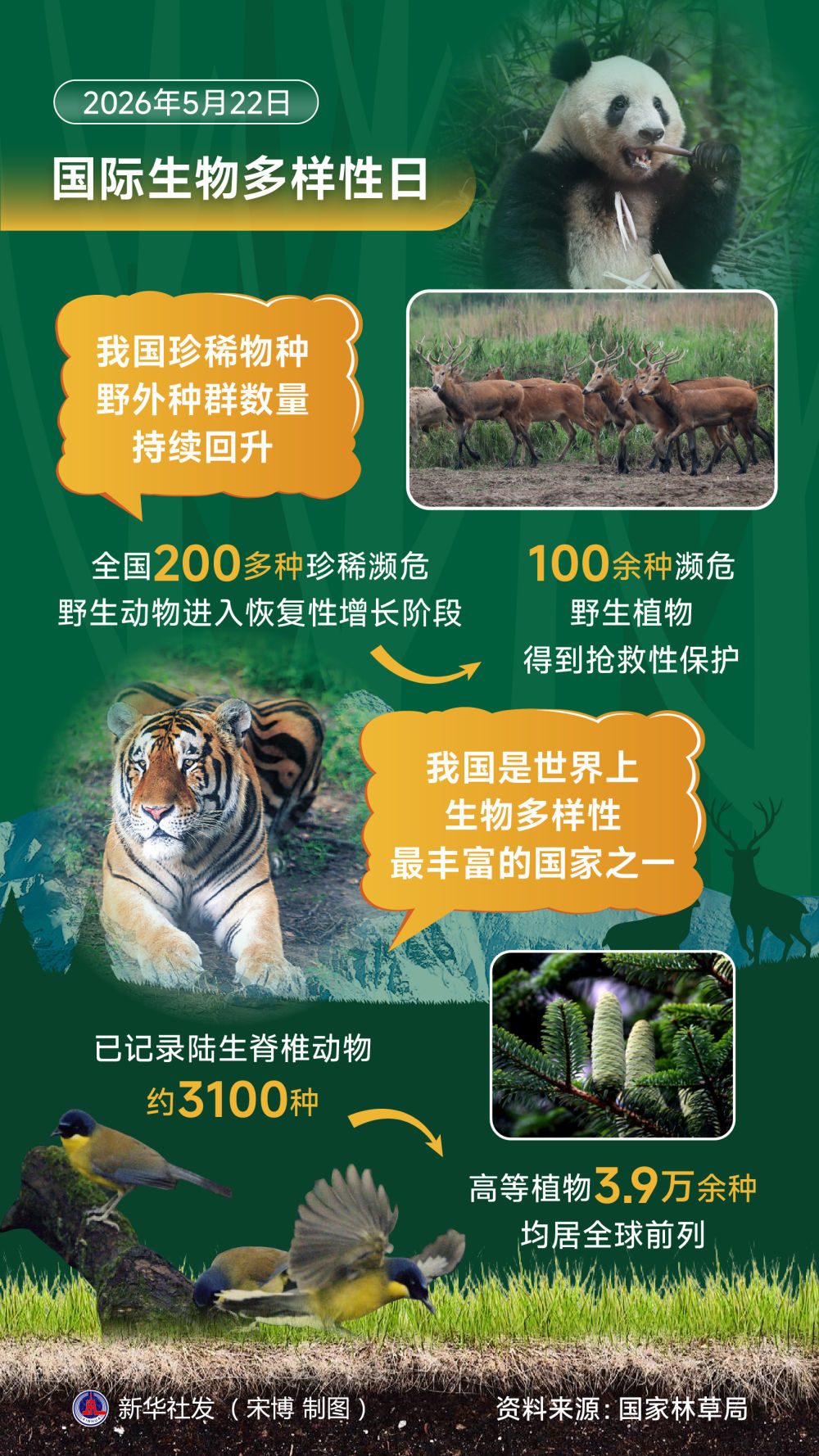 习近平生态文明思想引领生物多样性保护事业开创新局面(图3)