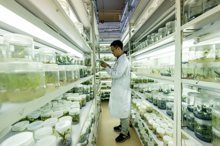 习近平生态文明思想引领生物多样性保护事业开创新局面(图8)